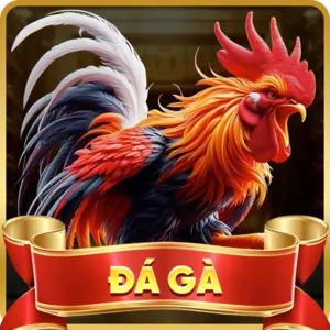 Cá Cược Thể Thao U88